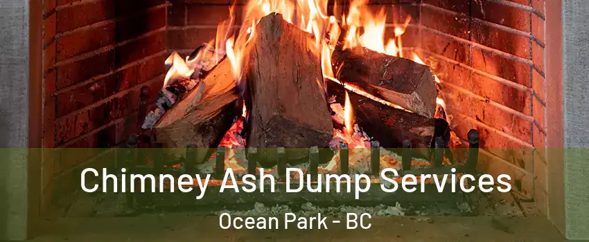  Chimney Ash Dump Services Ocean Park - BC