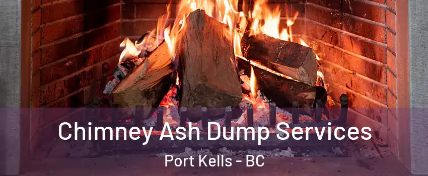  Chimney Ash Dump Services Port Kells - BC