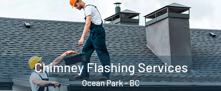 Chimney Flashing Services Ocean Park - BC
