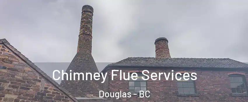  Chimney Flue Services Douglas - BC