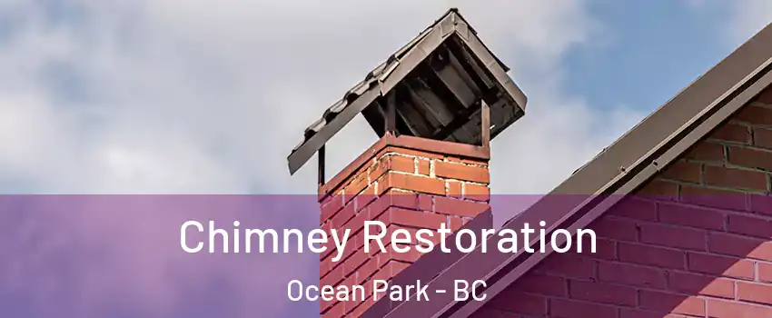  Chimney Restoration Ocean Park - BC