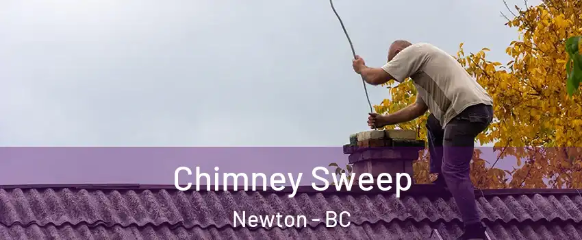  Chimney Sweep Newton - BC