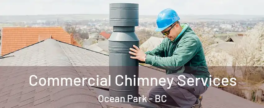  Commercial Chimney Services Ocean Park - BC