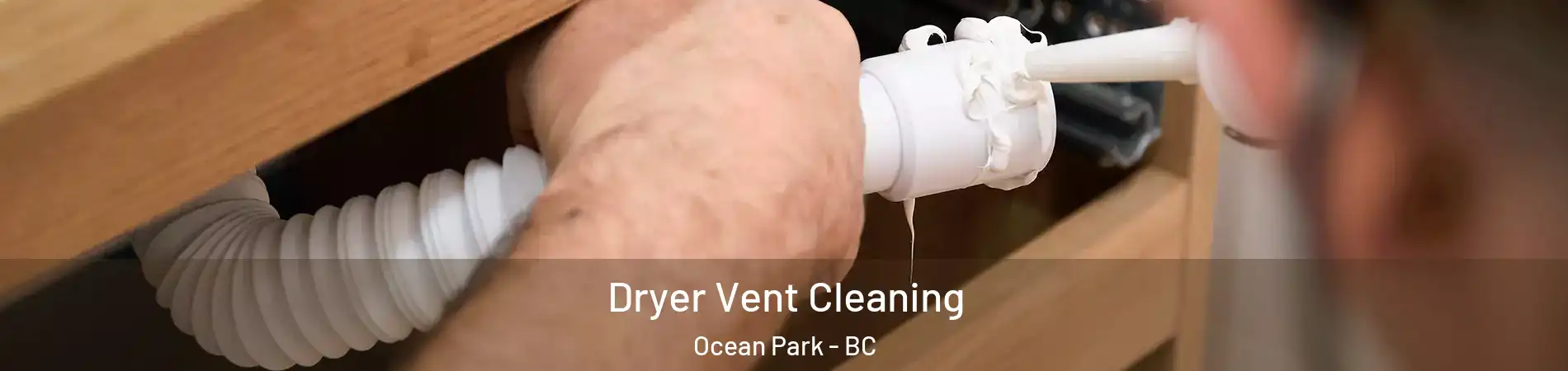  Dryer Vent Cleaning Ocean Park - BC