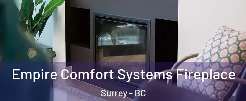  Empire Comfort Systems Fireplace Surrey - BC