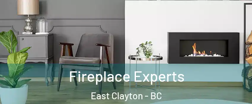  Fireplace Experts East Clayton - BC