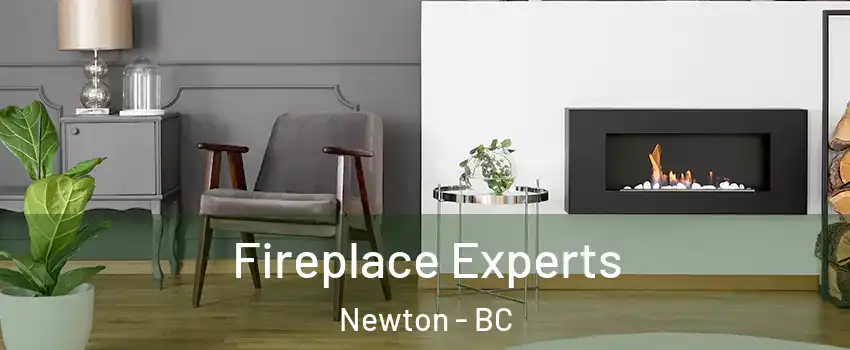  Fireplace Experts Newton - BC