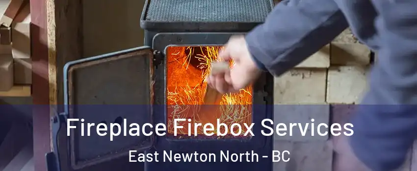  Fireplace Firebox Services East Newton North - BC