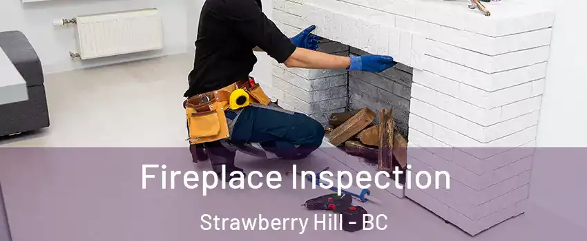  Fireplace Inspection Strawberry Hill - BC