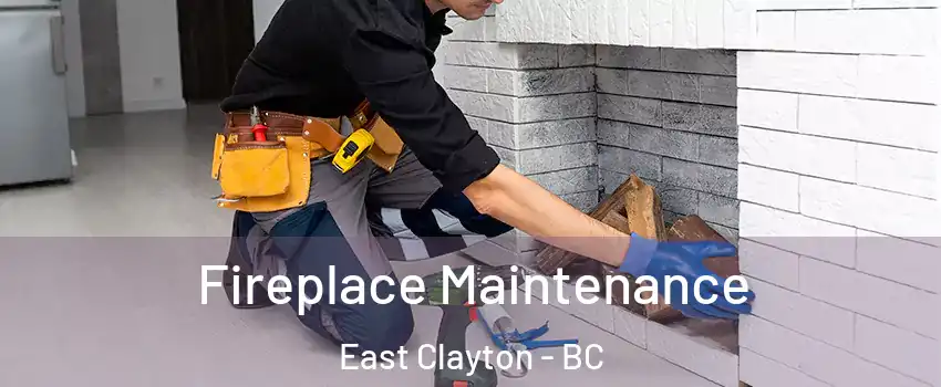  Fireplace Maintenance East Clayton - BC