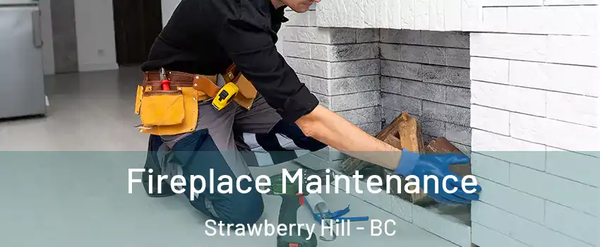  Fireplace Maintenance Strawberry Hill - BC