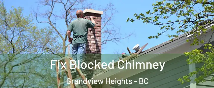  Fix Blocked Chimney Grandview Heights - BC