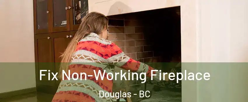  Fix Non-Working Fireplace Douglas - BC
