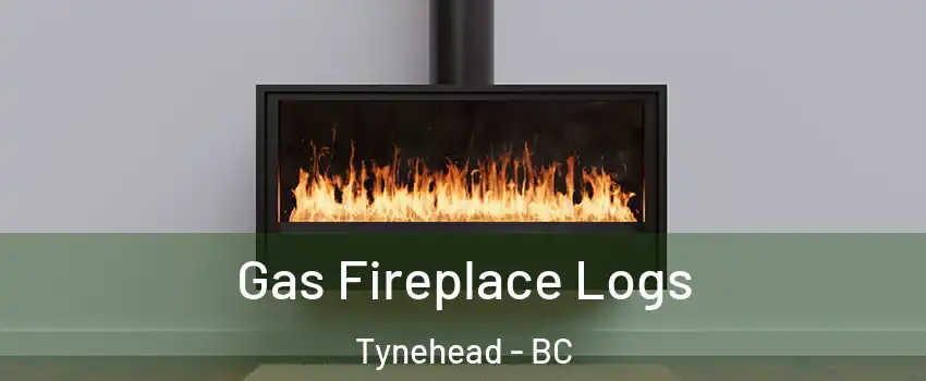  Gas Fireplace Logs Tynehead - BC