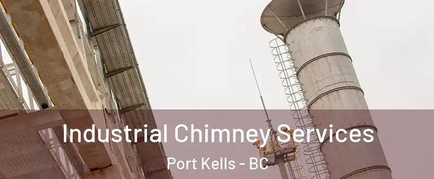  Industrial Chimney Services Port Kells - BC