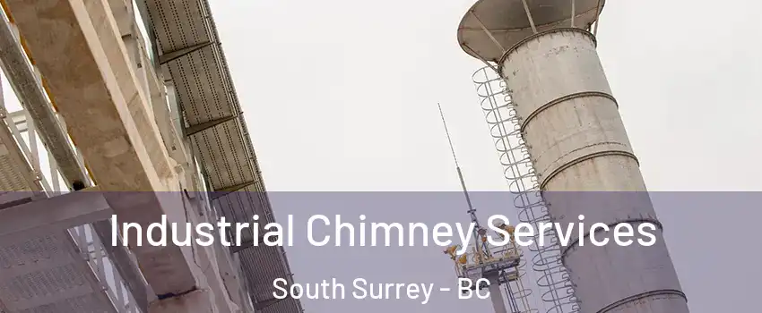  Industrial Chimney Services South Surrey - BC