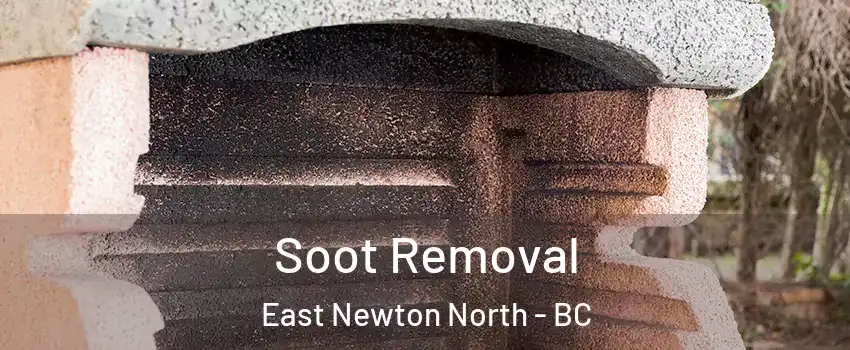  Soot Removal East Newton North - BC